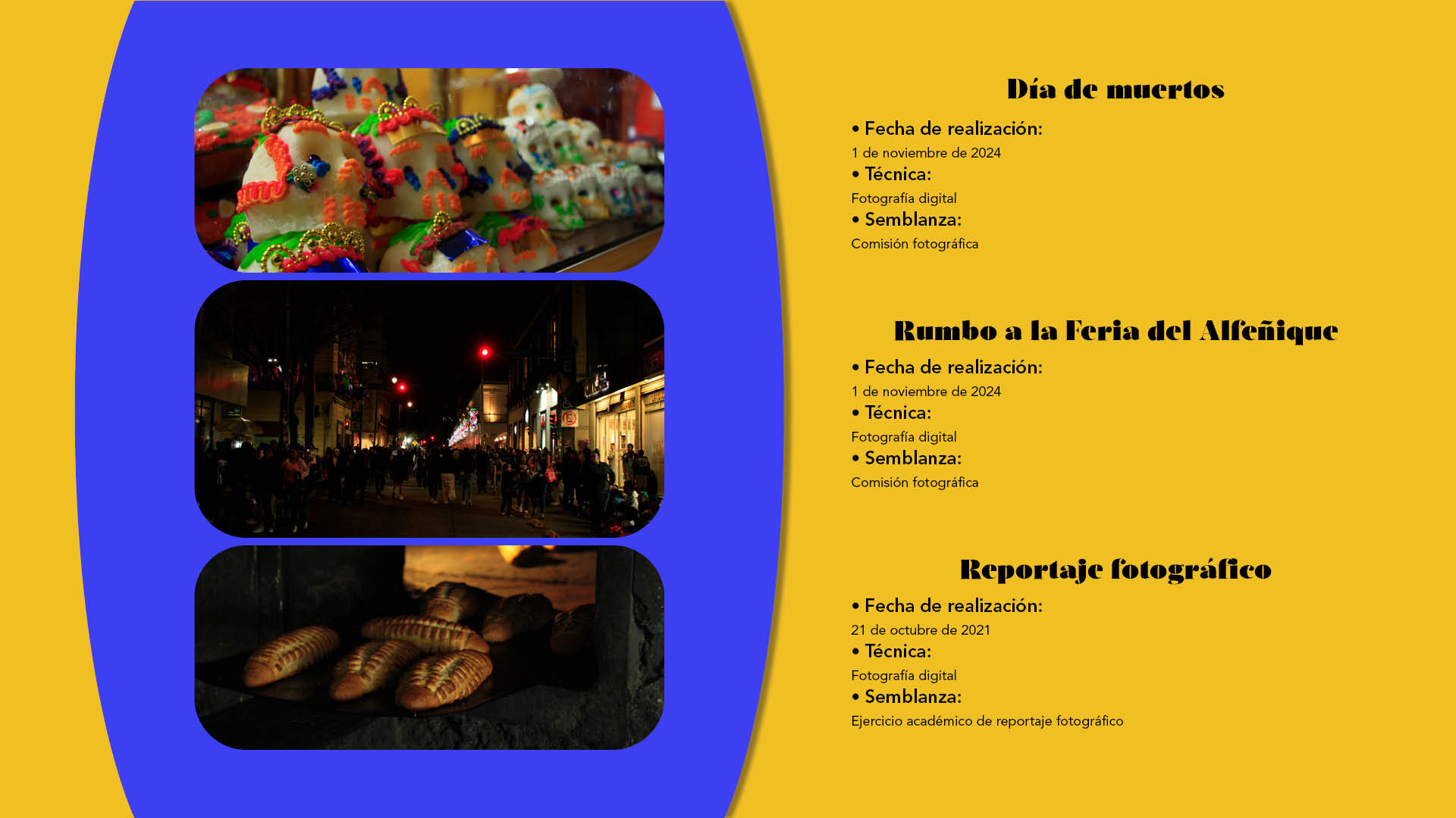 Portafolio digital Fernando Trujillo12