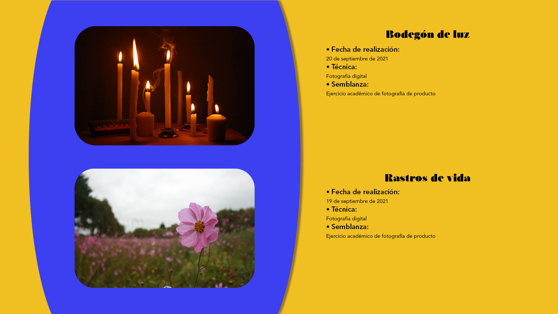 Portafolio digital Fernando Trujillo13